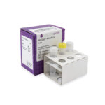 Single locus for Illumina and Ion Torrent