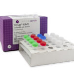 Library prep for Illumina and Ion Torrent