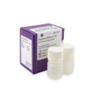 HLA typing Magnetic SPRI beads for DNA cleanup