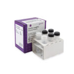 HLA typing Polymerase mastermix