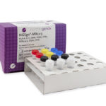 11 loci multiplex amplification for Illumina, Ion Torrent, PacBio