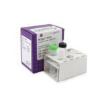 6 loci in one tube for Illumina and PacBio