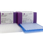 11 loci nanopore HLA typing sequencing