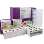 11 loci nanopore HLA typing sequencing