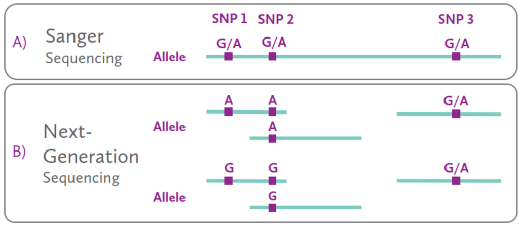 NGS vs Sanger-based HLA typing for Companion Diagnostics: key ...